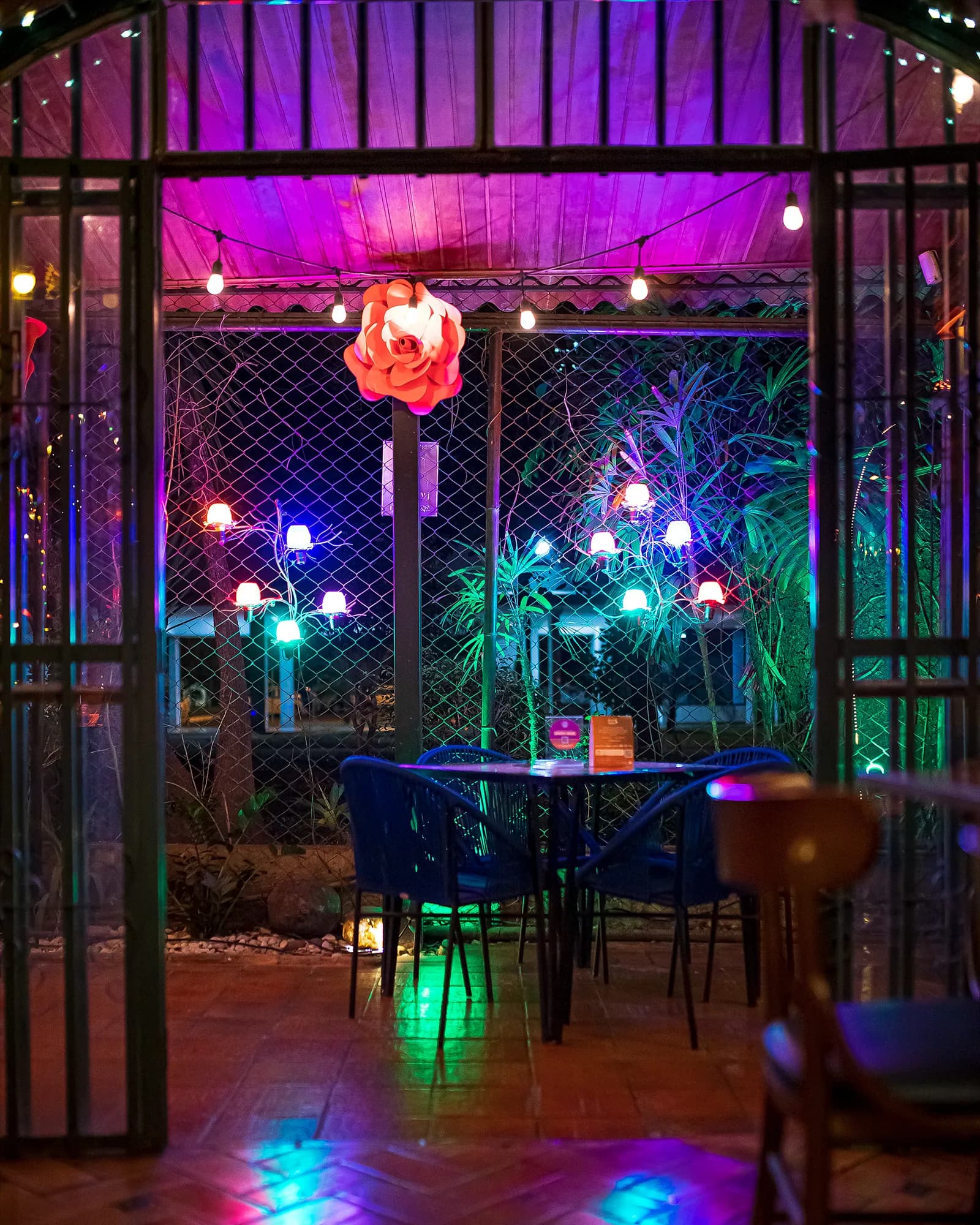 Área gradeada iluminada em roxo e verde, com lustre de papel e plantas